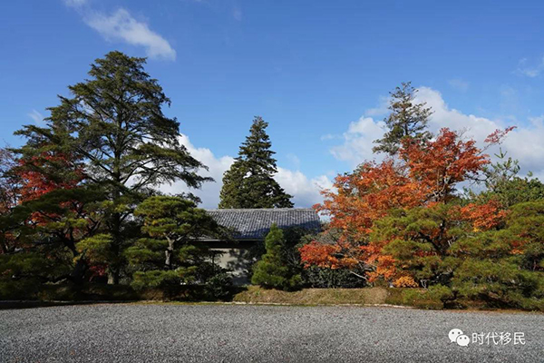 微信图片_20191210163027.jpg 微信图片_20191210163027.jpg