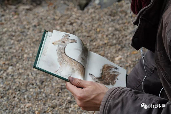 微信图片_20191210164141.jpg 微信图片_20191210164141.jpg