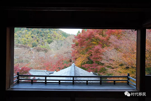 微信图片_20191210163019.jpg 微信图片_20191210163019.jpg