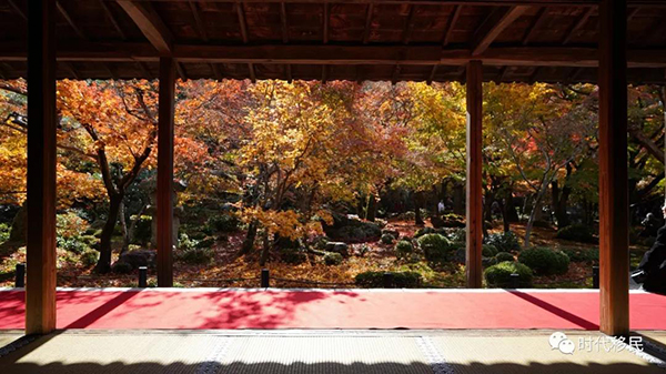 微信图片_20191210162940.jpg 微信图片_20191210162940.jpg