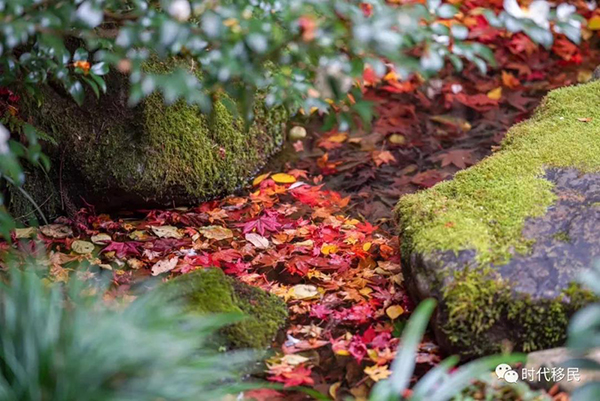 微信图片_20191210162946.jpg 微信图片_20191210162946.jpg