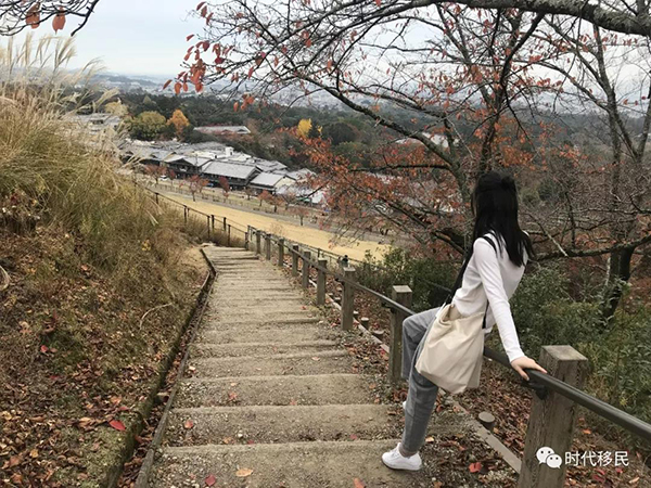 微信图片_20191210164142.jpg 微信图片_20191210164142.jpg