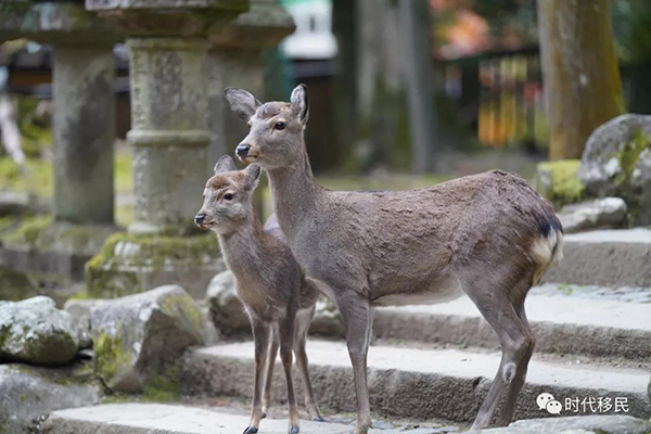 微信图片_20191210164137.jpg 微信图片_20191210164137.jpg