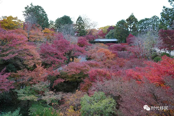 微信图片_20191210162910.jpg 微信图片_20191210162910.jpg