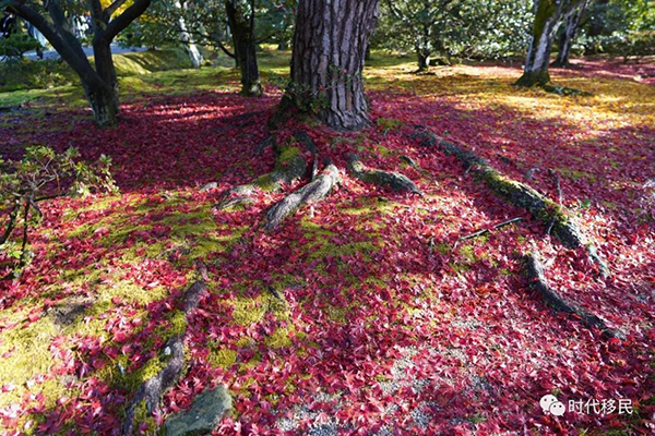 微信图片_20191210162947.jpg 微信图片_20191210162947.jpg