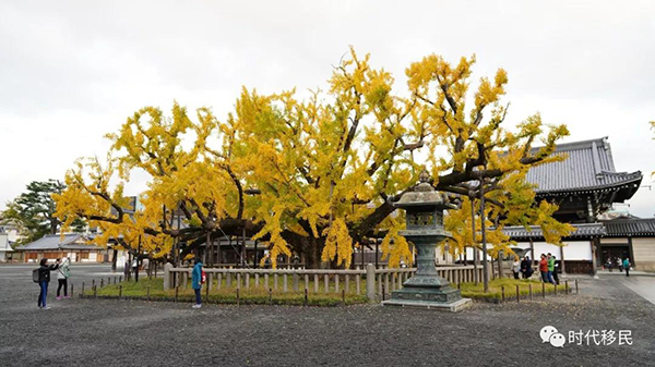 微信图片_20191210164225.jpg 微信图片_20191210164225.jpg