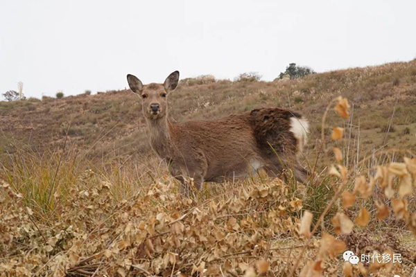 微信图片_20191210164150.jpg 微信图片_20191210164150.jpg