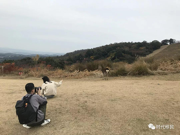 微信图片_20191210164148.jpg 微信图片_20191210164148.jpg