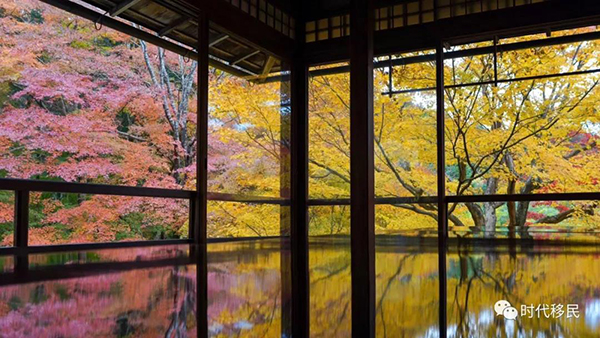 微信图片_20191210163012.jpg 微信图片_20191210163012.jpg