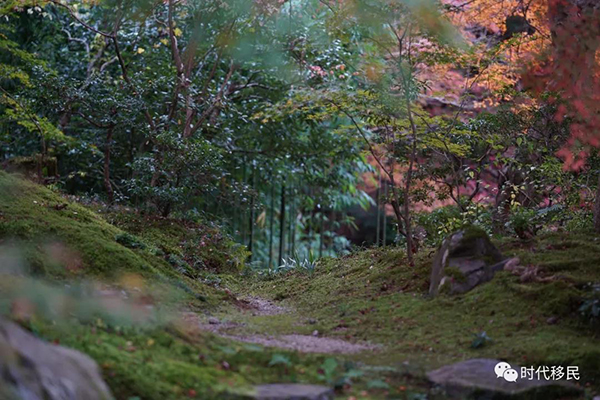 微信图片_20191210162930.jpg 微信图片_20191210162930.jpg