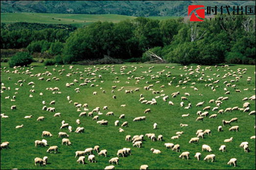 澳大利亚移民 澳大利亚移民