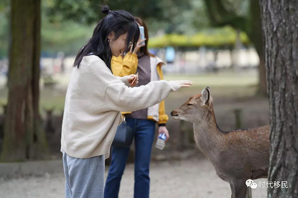 微信图片_20191210163033.jpg 微信图片_20191210163033.jpg