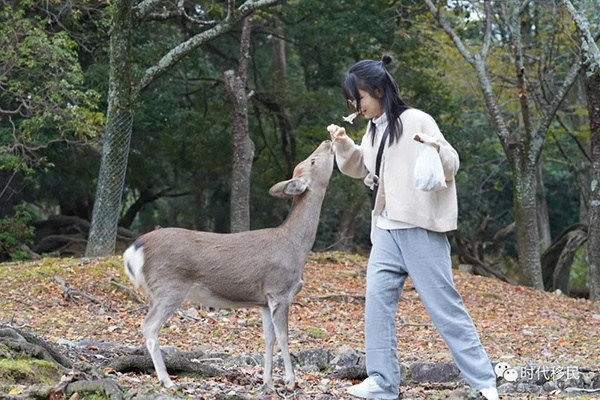 微信图片_20191210164135.jpg 微信图片_20191210164135.jpg