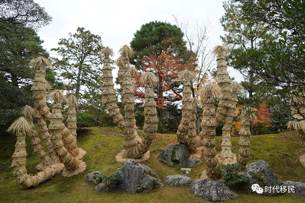 微信图片_20191210162944.jpg 微信图片_20191210162944.jpg