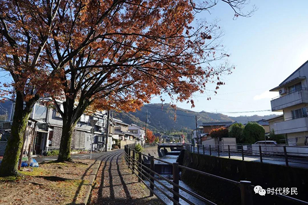 微信图片_20191210162954.jpg 微信图片_20191210162954.jpg