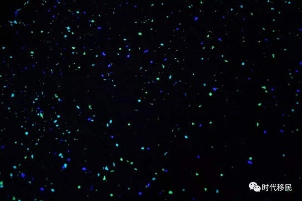 微信图片_20191210164329.jpg 微信图片_20191210164329.jpg