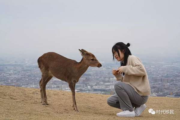 微信图片_20191210164146.jpg 微信图片_20191210164146.jpg