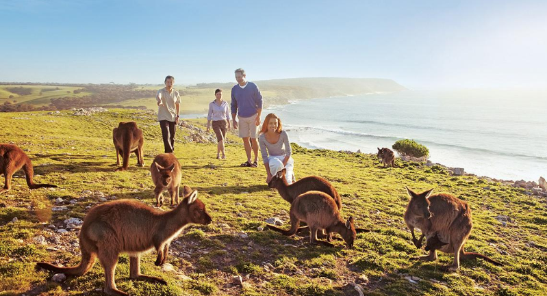 澳大利亚投资移民 澳大利亚投资移民