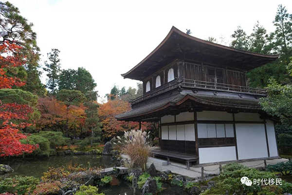 微信图片_20191210162941.jpg 微信图片_20191210162941.jpg