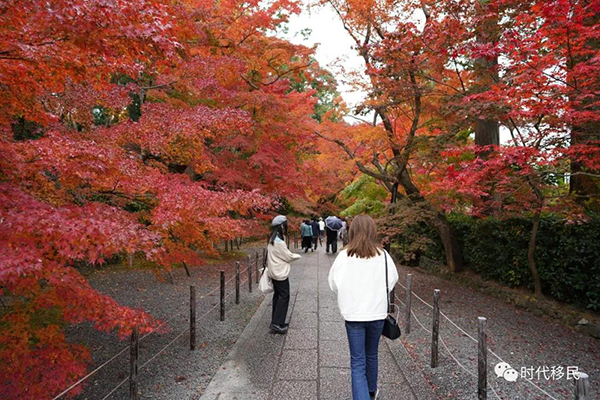 微信图片_20191210162928.jpg 微信图片_20191210162928.jpg