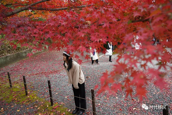 微信图片_20191210162927.jpg 微信图片_20191210162927.jpg