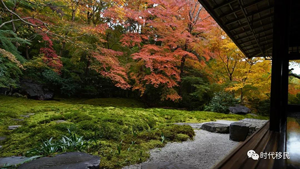 微信图片_20191210163022.jpg 微信图片_20191210163022.jpg