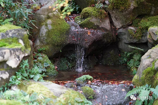 微信图片_20191210162932.jpg 微信图片_20191210162932.jpg