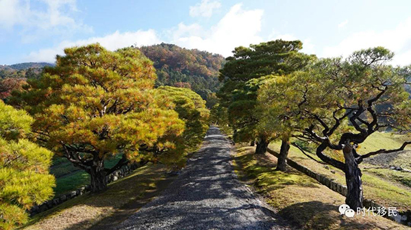 微信图片_20191210163028.jpg 微信图片_20191210163028.jpg