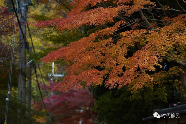 微信图片_20191210164211.jpg 微信图片_20191210164211.jpg