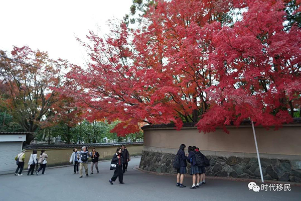 微信图片_20191210164222.jpg 微信图片_20191210164222.jpg