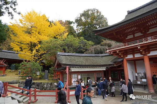 微信图片_20191210162913.jpg 微信图片_20191210162913.jpg