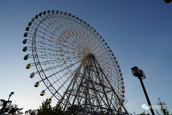 微信图片_20191210164325.jpg 微信图片_20191210164325.jpg