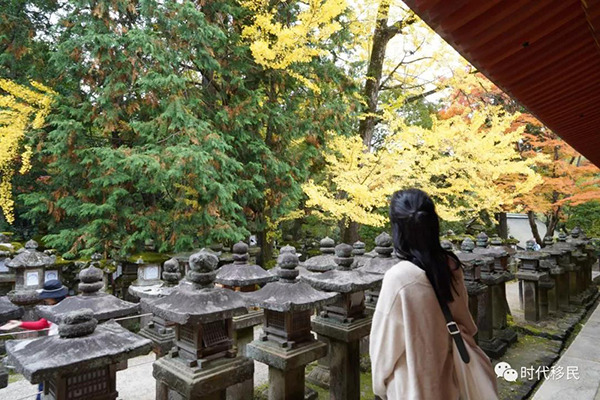 微信图片_20191210162916.jpg 微信图片_20191210162916.jpg