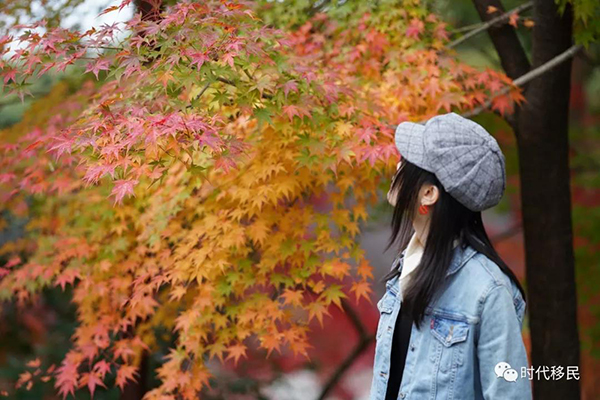 微信图片_20191210163031.jpg 微信图片_20191210163031.jpg