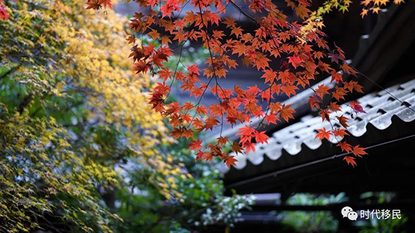 微信图片_20191210162920.jpg 微信图片_20191210162920.jpg