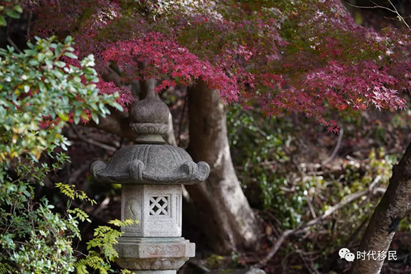 微信图片_20191210162934.jpg 微信图片_20191210162934.jpg