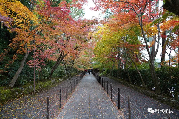 微信图片_20191210162923.jpg 微信图片_20191210162923.jpg